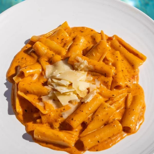 Rigatoni pasta in a creamy orange sauce with herbs and shaved parmesan cheese on a white plate.
