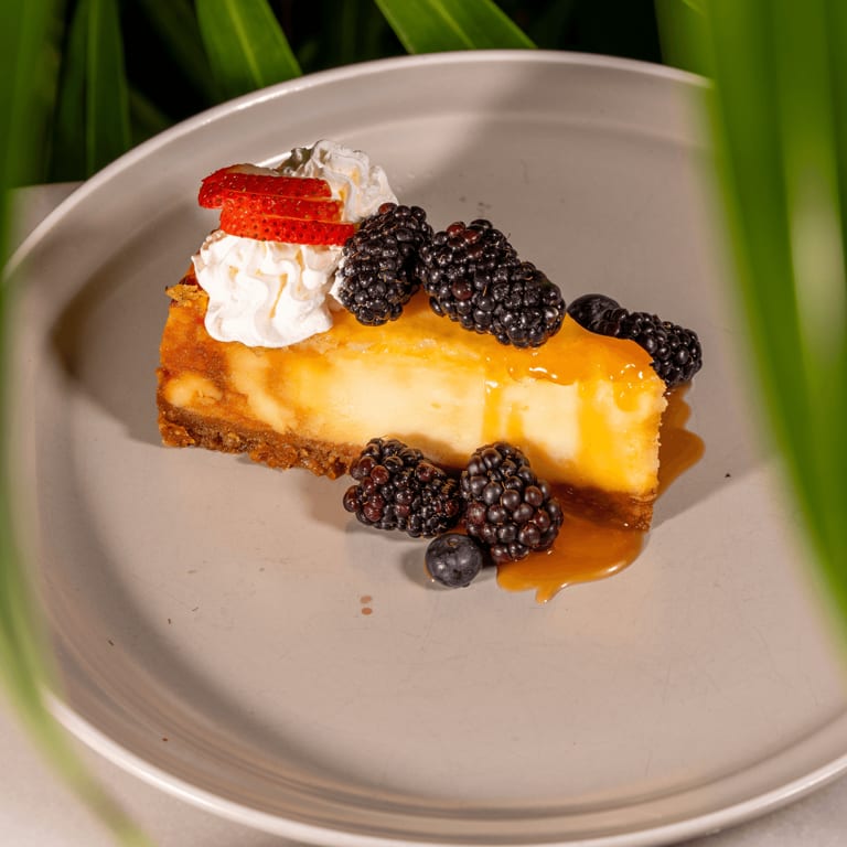 Decadent Cheesecake Delights